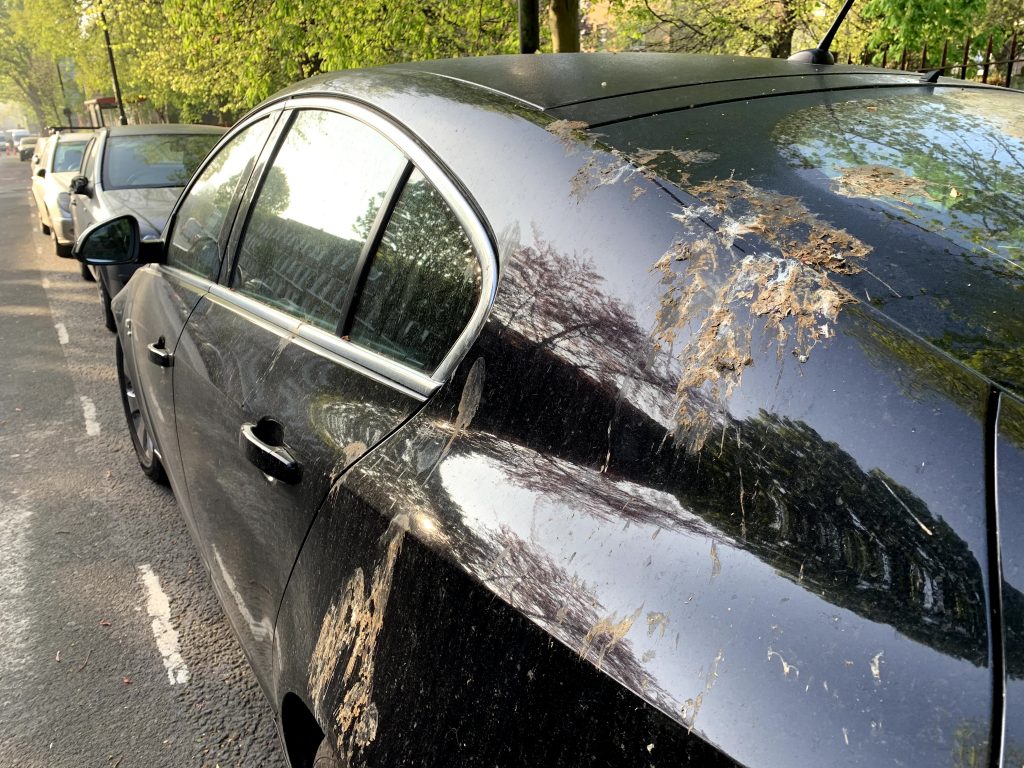 How artificial bird droppings keep your paintwork safe in the real world